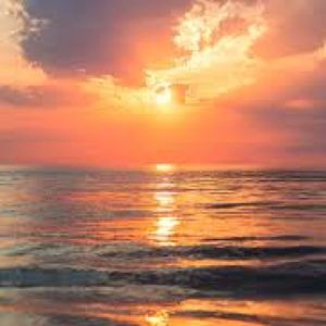 Meet your Posher, Stella